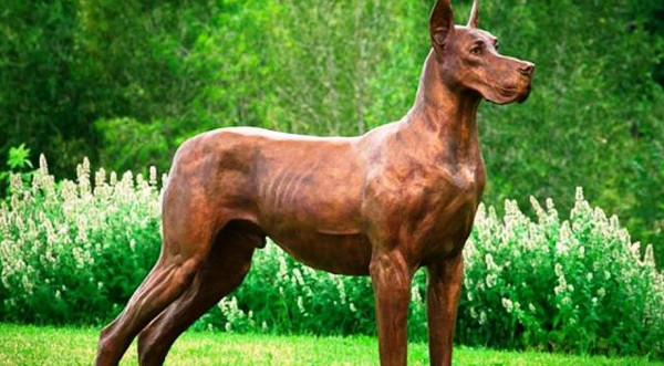 Khám Phá Những Giống Chó Nguy Hiểm Nhất Trên Thế Giới Khám Phá Những Giống Chó Nguy Hiểm Nhất Trên Thế Giới