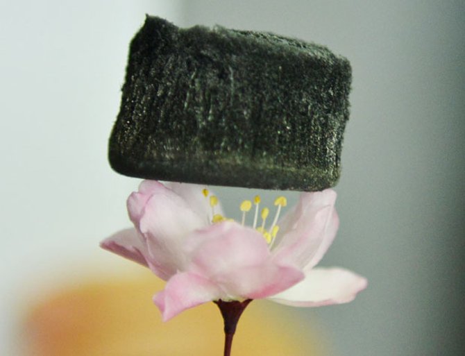 Một khối graphene aerogel có thể lơ lửng trên đám cỏ hay ngay cả trên đầu những bông hoa. Một khối graphene aerogel có thể lơ lửng trên đám cỏ hay ngay cả trên đầu những bông hoa.