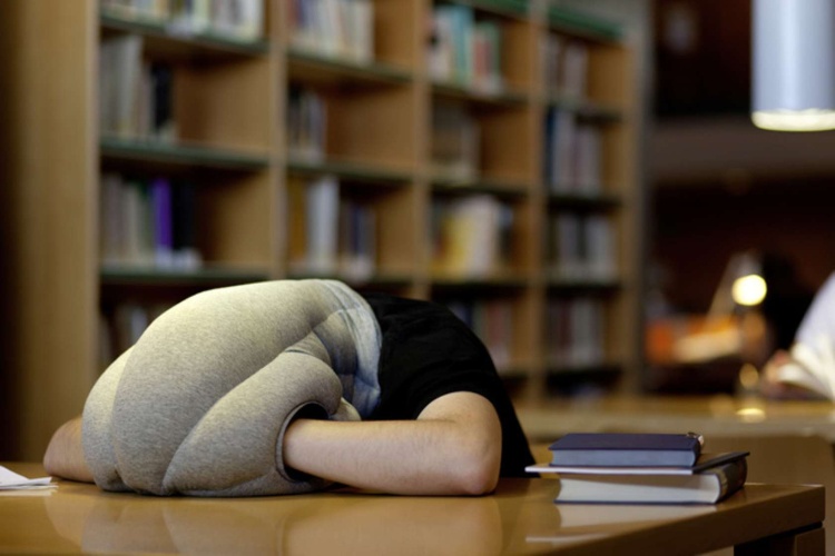 Một khoảng thời gian ngủ trưa hàng ngày giúp thư giãn đầu óc và cơ thể.
