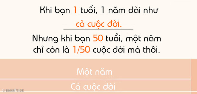 Ở tuổi 50, một năm chỉ là 2% cuộc đời.