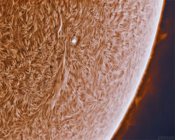 Hình ảnh 'Mặt trời rõ nét nhất' của NASA thực chất thuộc về nhiếp ảnh gia thiên văn Jason Guenzel.
