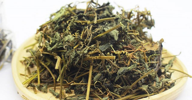 Khám Phá Công Dụng Sức Khỏe Đáng Kinh Ngạc Của Giảo Cổ Lam