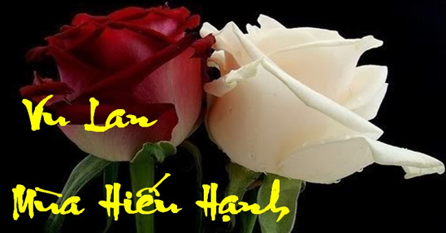 Lễ Vu Lan: Ý Nghĩa Tâm Linh và Hành Động Tri Ân