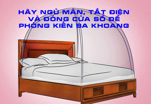 Đóng kín cửa sổ và sử dụng màn để ngăn chặn kiến ba khoang Đóng kín cửa sổ và sử dụng màn để ngăn chặn kiến ba khoang