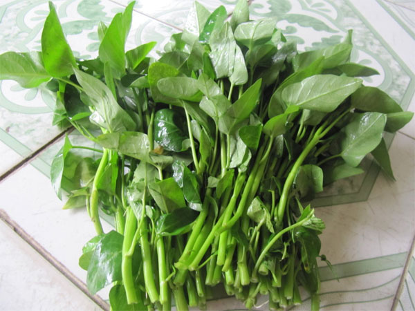 Ăn rau muống sống có thể dẫn đến rủi ro sức khỏe Ăn rau muống có thể dẫn đến rủi ro sức khỏe