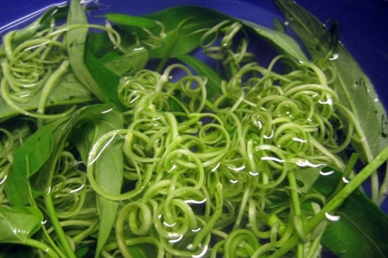 Ăn rau muống sống có thể gây ra nhiều triệu chứng không mong muốn Ăn rau muống: Những điều cần hết sức lưu ý