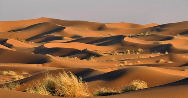 Khám Phá Độ Sâu Bí Ẩn Của Sa Mạc Sahara