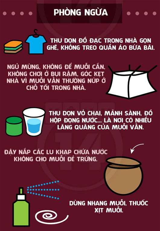 Phòng tránh sốt xuất huyết Phòng tránh sốt xuất huyết