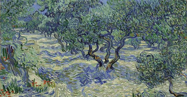 Khi một kẻ tí hon xuất hiện trên toan Van Gogh: câu chuyện về phát hiện bất ngờ