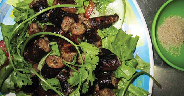 Thịt trăn: Nguồn protein ít tác động môi trường và khả năng nhân rộng