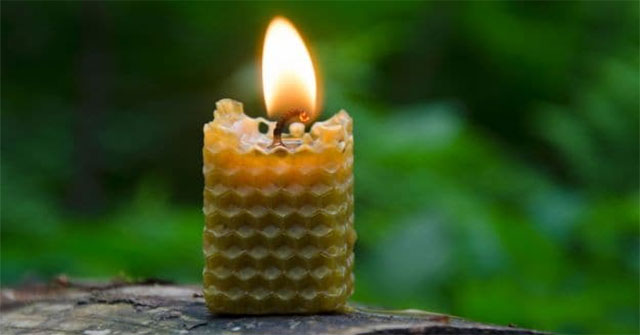 9 Phương Pháp Tự Nhiên Để Làm Sạch Không Khí Trong Nhà